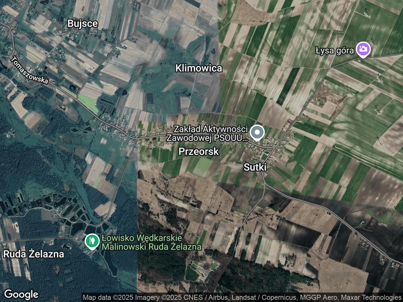 Działka leśna Przeorsk