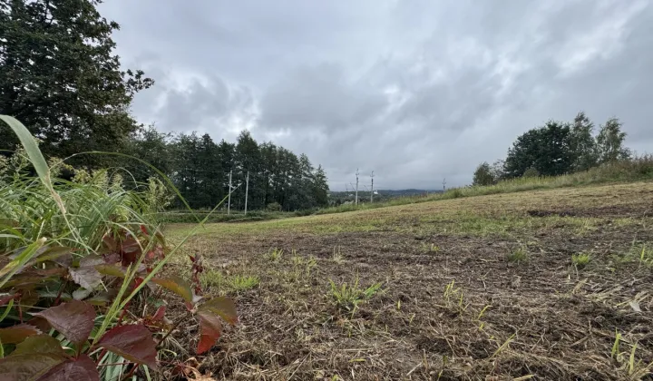 Działka budowlana Tuchów, ul. Juliusza Słowackiego