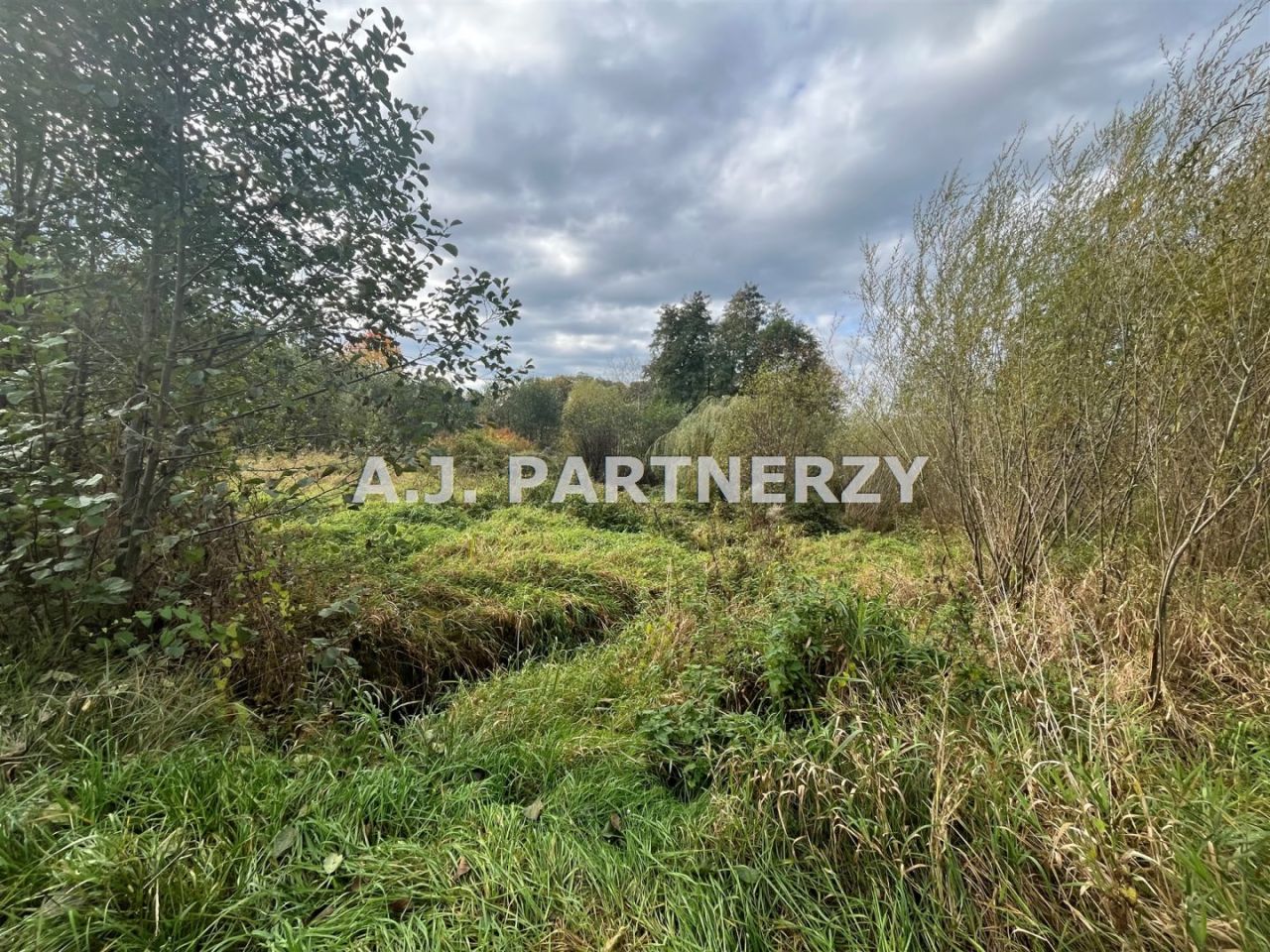 Działka inwestycyjna Rożnowa. Zdjęcie 2