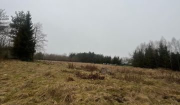 Działka budowlana Międzylesie, Zielona