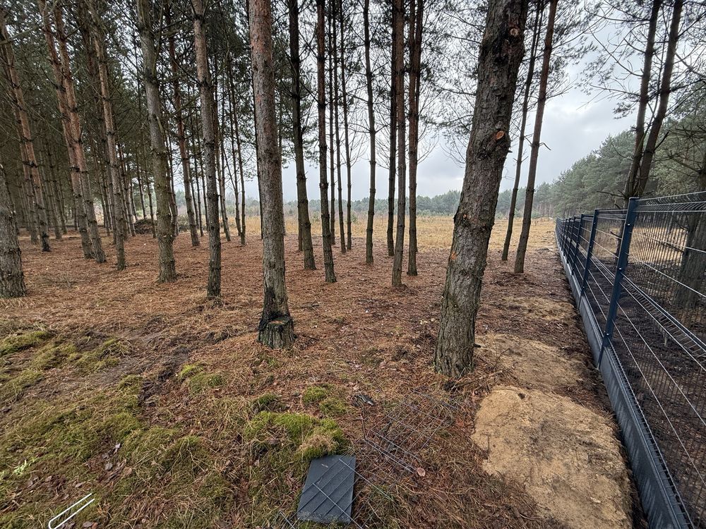 Działka budowlana Bilska Wola Karolinów. Zdjęcie 3