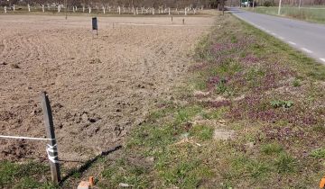 Działka budowlana Helenów