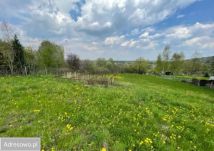 Działka rekreacyjna Zręczyce. Zdjęcie 2