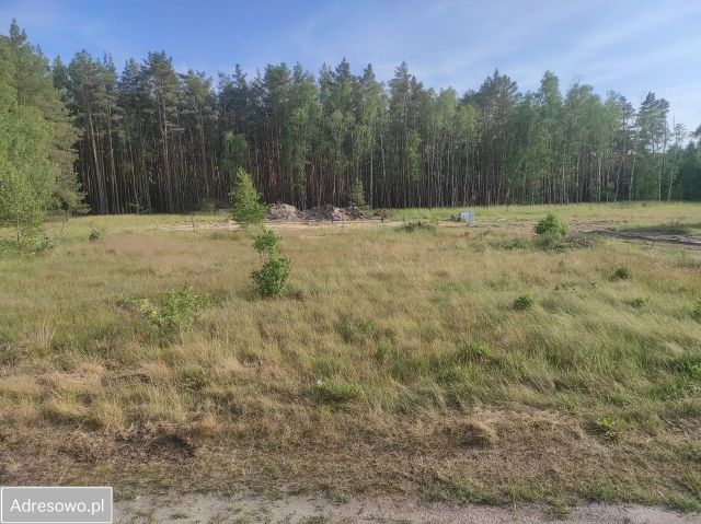 Działka budowlana Leśniów Wielki. Zdjęcie 1