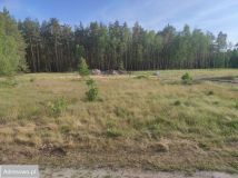 Działka budowlana Leśniów Wielki