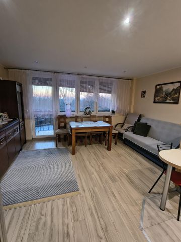 Mieszkanie 2-pokojowe Paczyna, ul. Pniowska. Zdjęcie 1