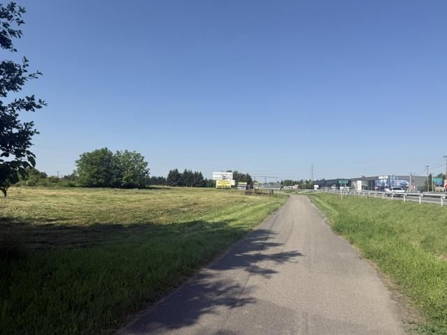 Działka inwestycyjna Mikołajowice. Zdjęcie 5