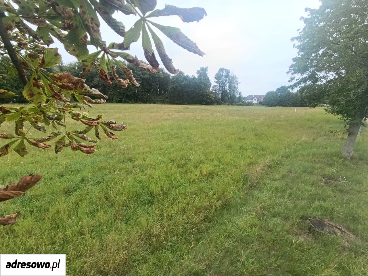Działka budowlana Obłotne, ul. Kobaltowa. Zdjęcie 6