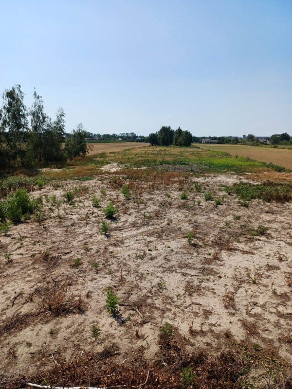 Działka inwestycyjna Paprotnia, ul. Gnatowicka. Zdjęcie 5