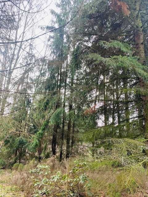 Działka rekreacyjna Młynarze. Zdjęcie 2