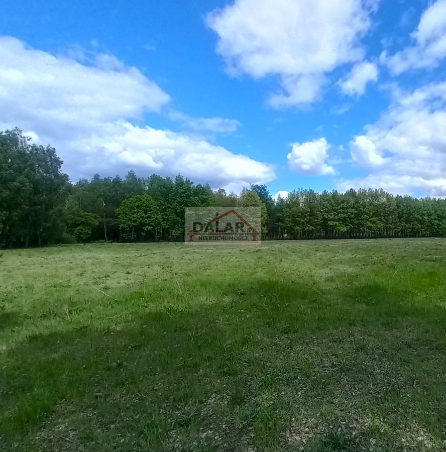 Działka budowlana Korzeniówka. Zdjęcie 2