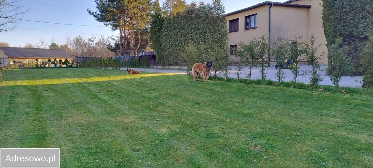 dom wolnostojący, 5 pokoi Jastrzębie-Zdrój, ul. Szybowa. Zdjęcie 6