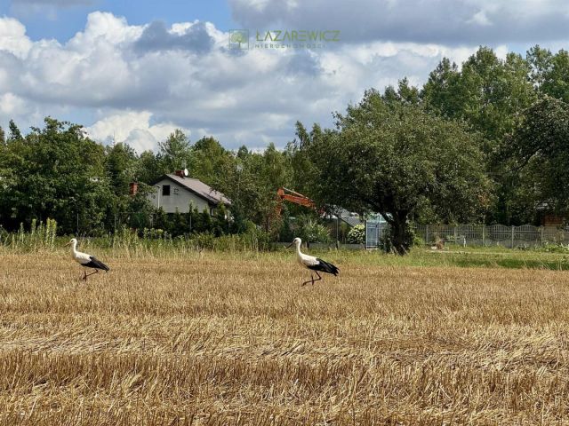 Działka budowlana Wiązowna. Zdjęcie 4