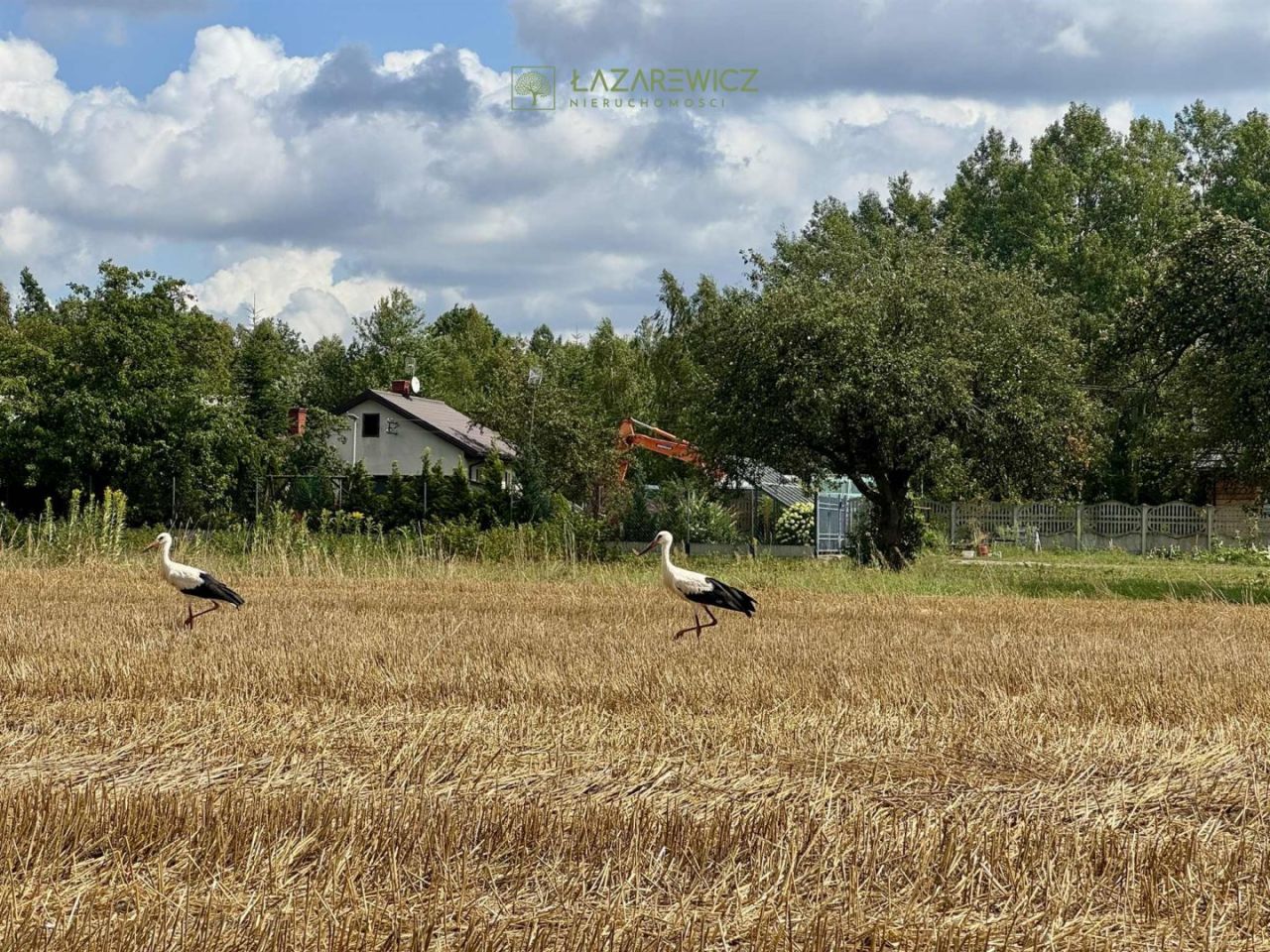 Działka budowlana Wiązowna. Zdjęcie 4
