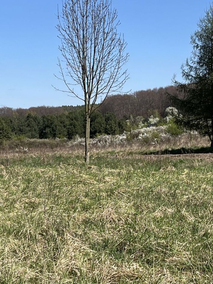 Działka budowlana Dąbrowa Górnicza Ujejsce, ul. Wysoka. Zdjęcie 2