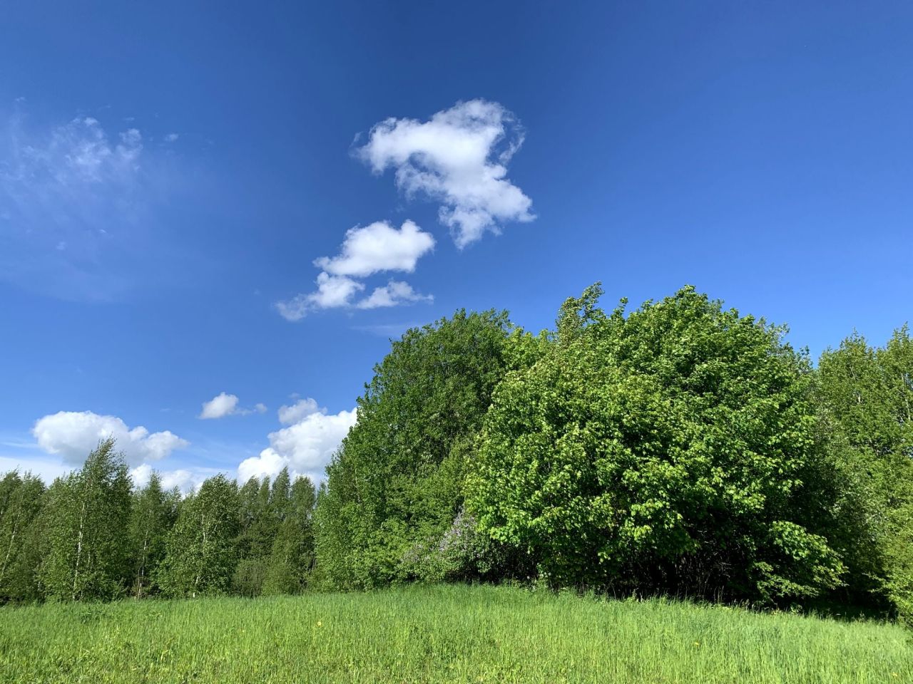 Działka inwestycyjna Derc. Zdjęcie 19