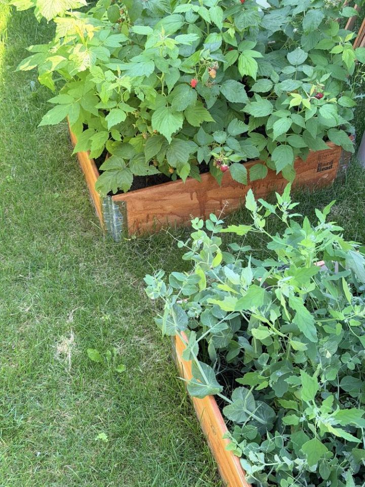 Działka rod Białystok, ul. Konstantego Ciołkowskiego. Zdjęcie 7