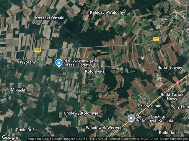 Działka siedliskowa Kołomyjka. Zdjęcie 1