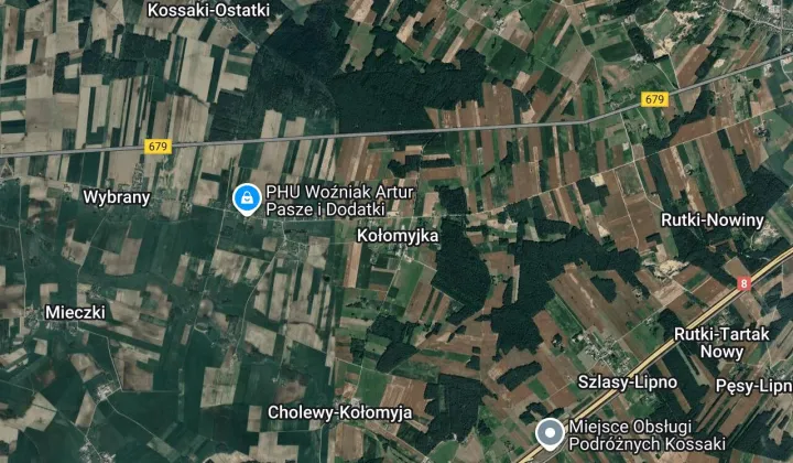 Działka siedliskowa Kołomyjka