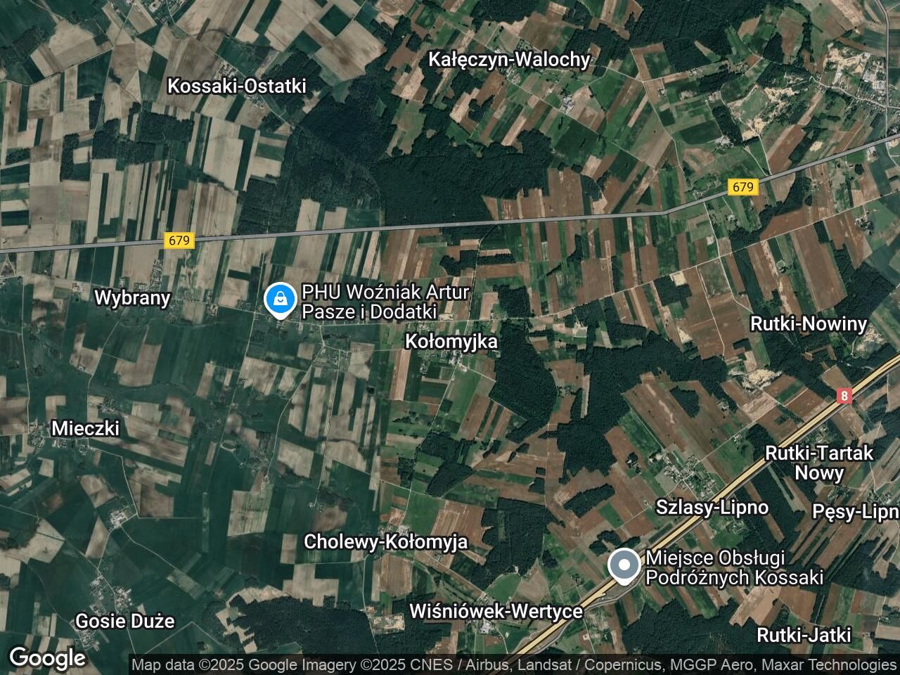 Działka siedliskowa Kołomyjka