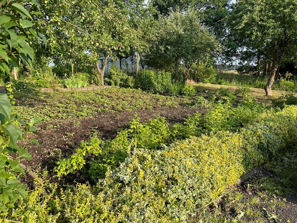 Działka rod Odolanów. Zdjęcie 2