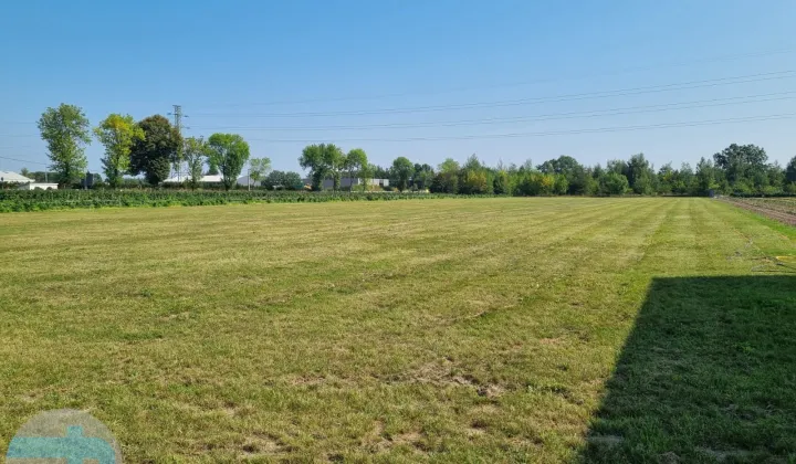 Działka inwestycyjna Dębe