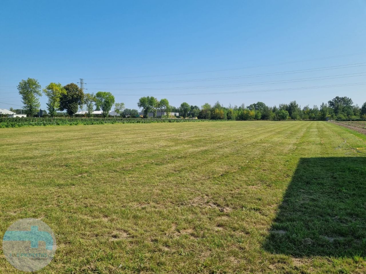 Działka inwestycyjna Dębe. Zdjęcie 1