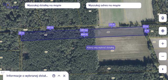 Działka leśna Kodeń Kodeń Pierwszy. Zdjęcie 1