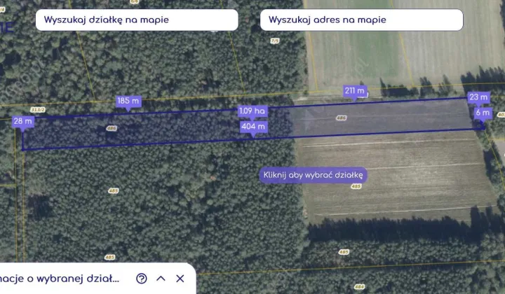 Działka leśna Kodeń Kodeń Pierwszy