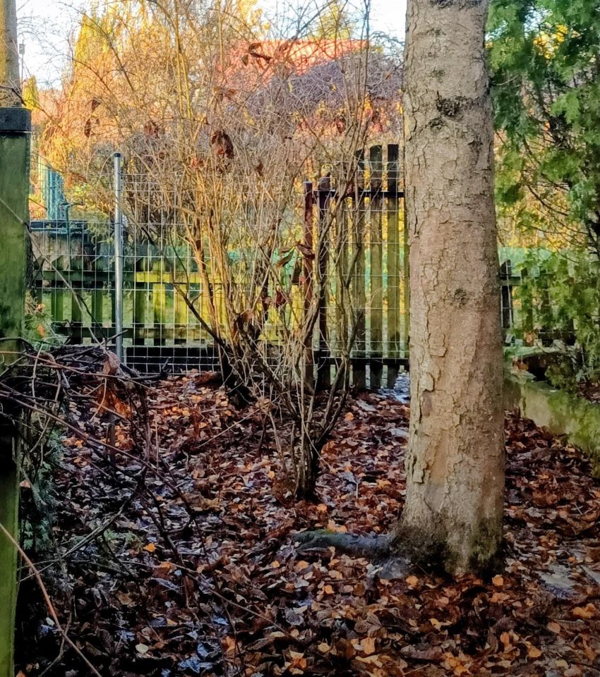 Działka rod Białystok Bagnówka, ul. Krzysztofa Pendereckiego. Zdjęcie 17