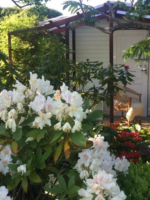 Działka rod Pruszcz Gdański, ul. Nad Radunią. Zdjęcie 3