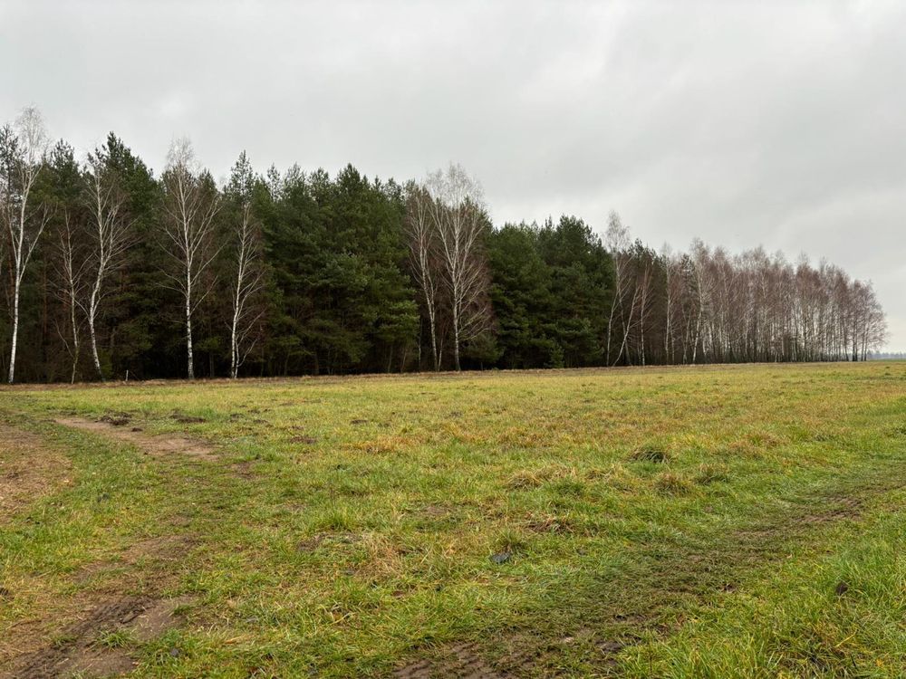 Działka rolna Chorzele, ul. Macieja Rataja. Zdjęcie 3