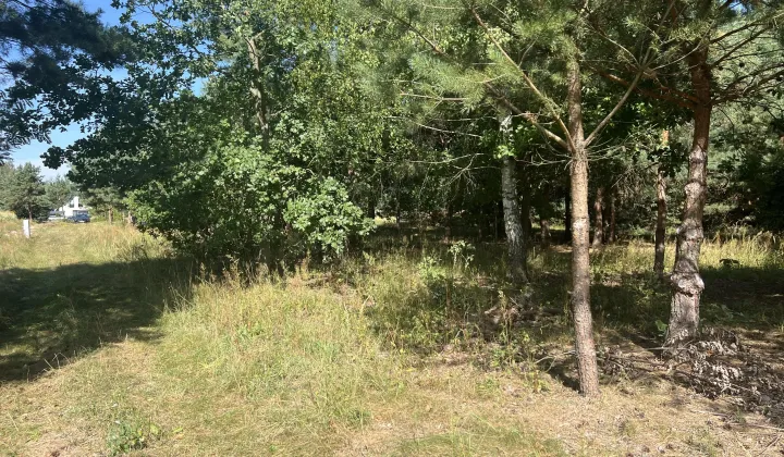Działka budowlana Zdziechów