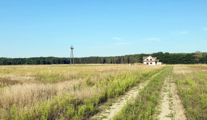 Działka budowlana Boruja