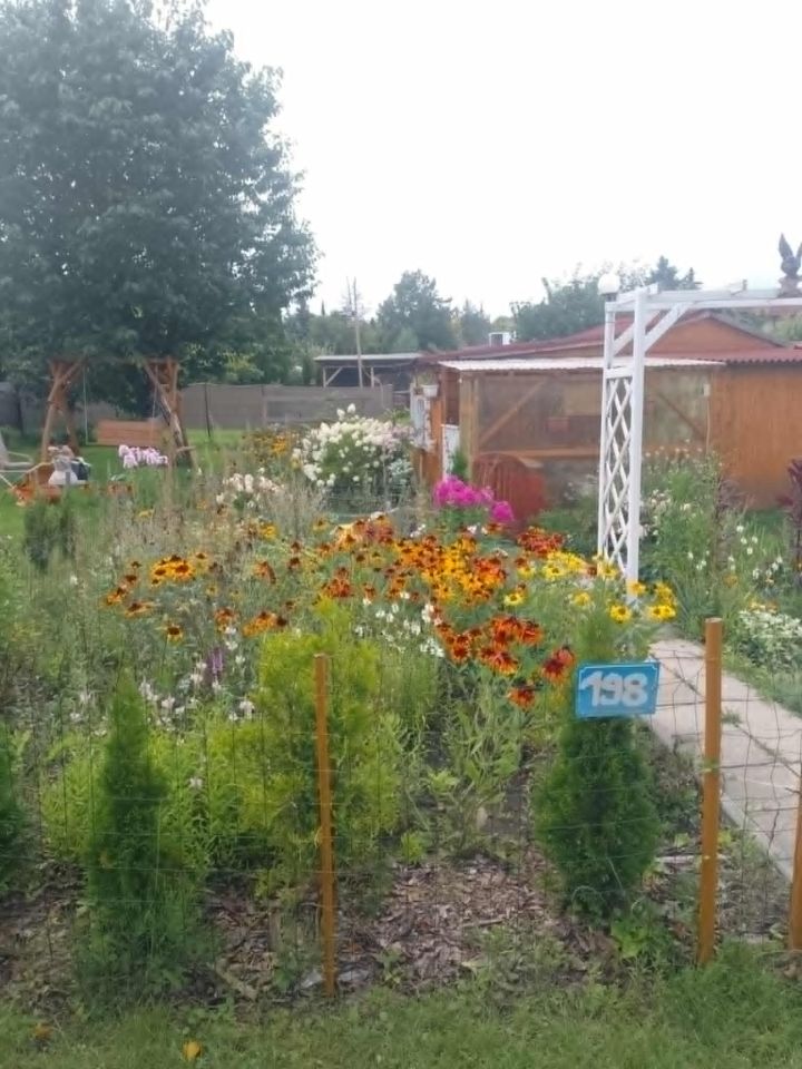 Działka rod Szczytno, ul. Pasymska. Zdjęcie 3