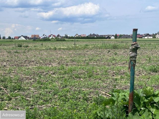 Działka rolna Strzelce Krajeńskie, ul. Grodziska. Zdjęcie 1