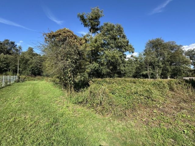 Działka budowlana Długołęka, ul. Adama Mickiewicza. Zdjęcie 4