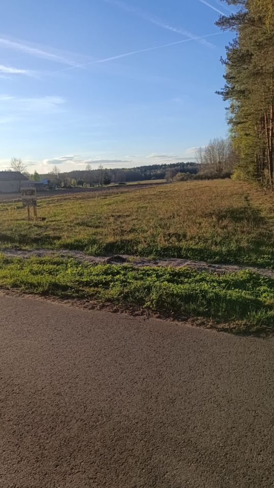 Działka rolna Bór. Zdjęcie 5