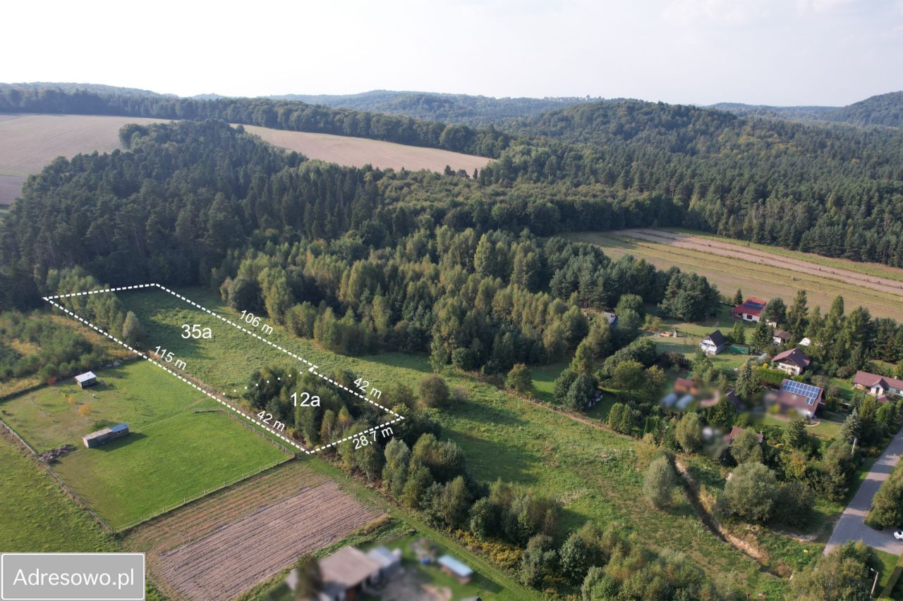 Działka rolno-budowlana Domaniewice. Zdjęcie 3