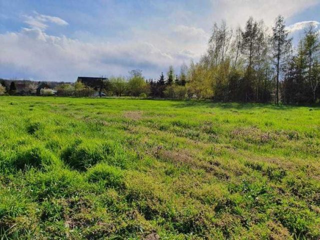 Działka budowlana Budzicz. Zdjęcie 1