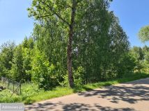 Działka rolna Woźnice. Zdjęcie 2