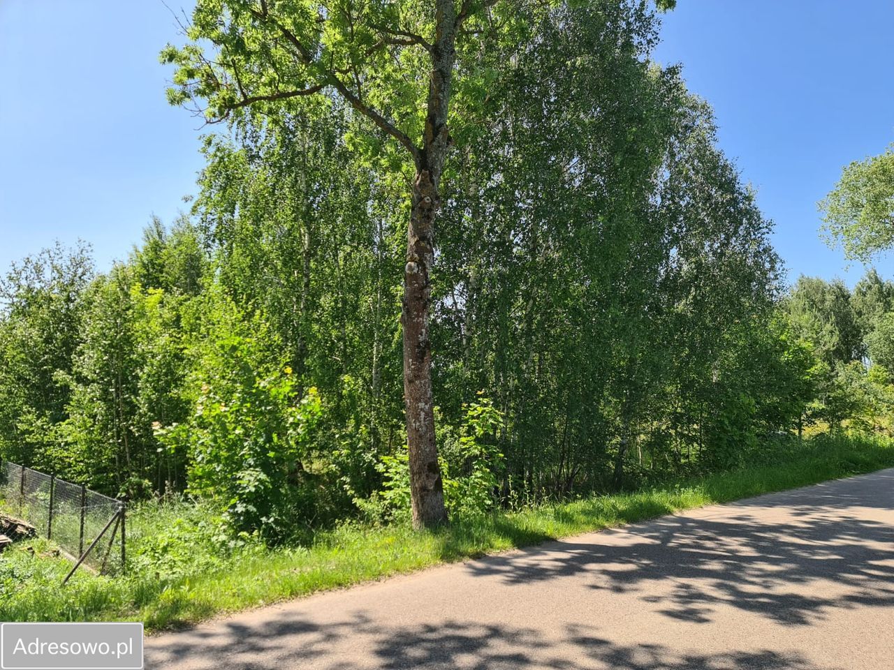 Działka rolna Woźnice. Zdjęcie 3