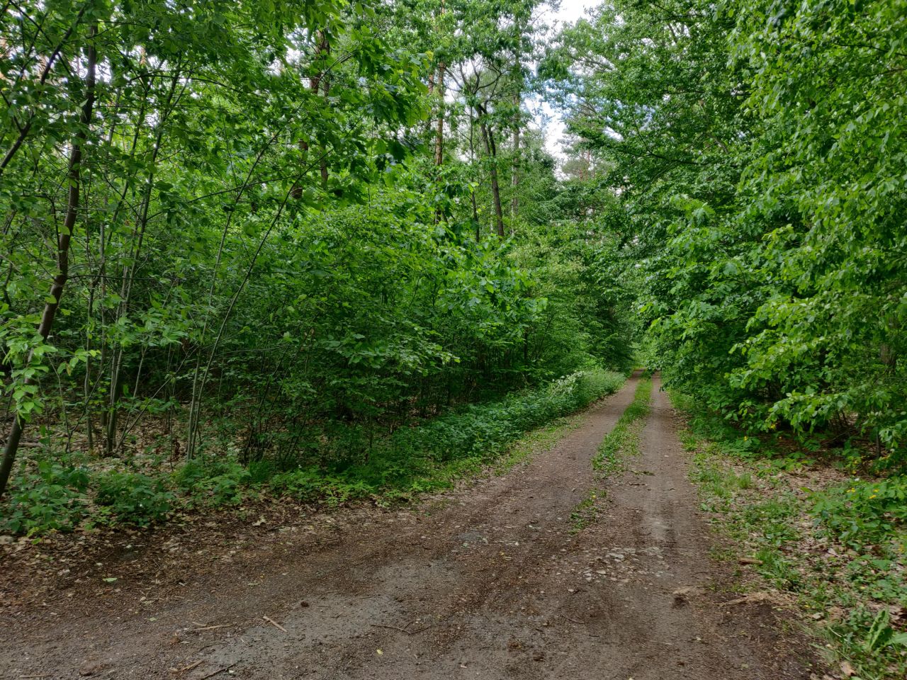 Działka rolno-budowlana Chachalnia, ul. Ostrowska. Zdjęcie 4