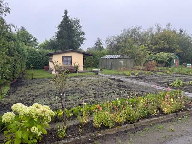 Działka rod Piła. Zdjęcie 3