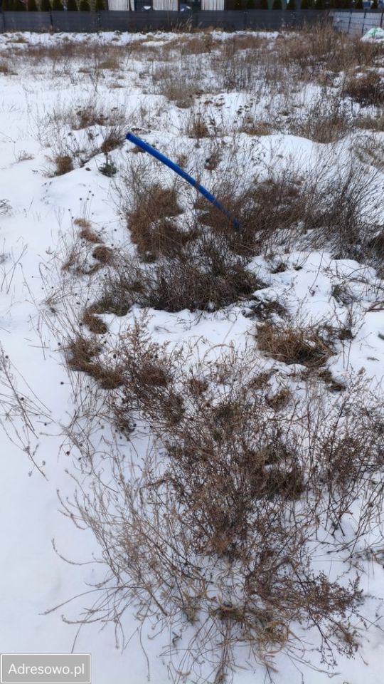 Działka budowlana Skowarcz, ul. Diamentowa. Zdjęcie 4