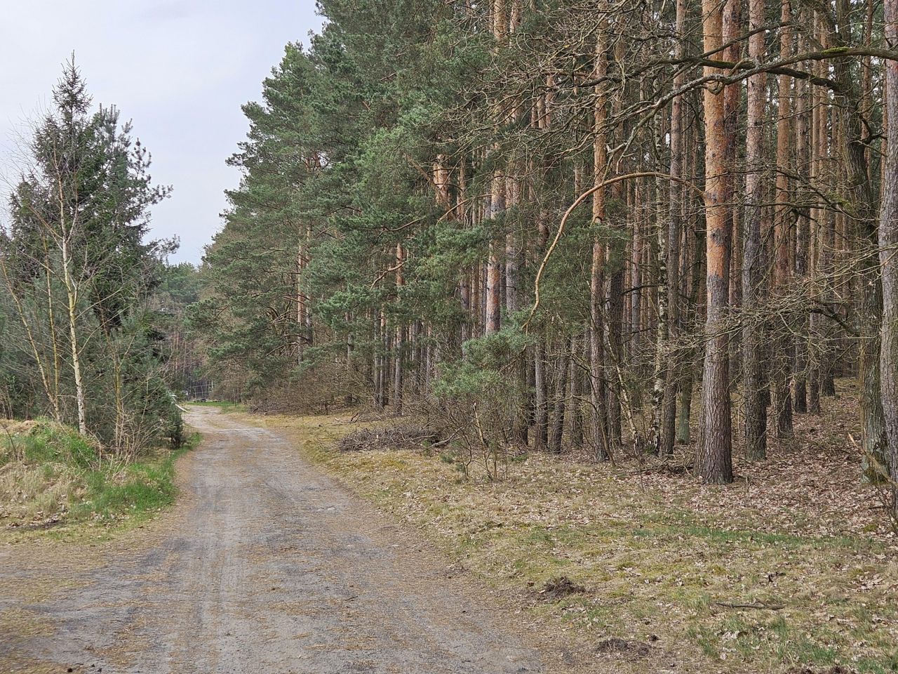 Działka budowlana Zielona Góra Barcikowice, ul. Barcikowice. Zdjęcie 2