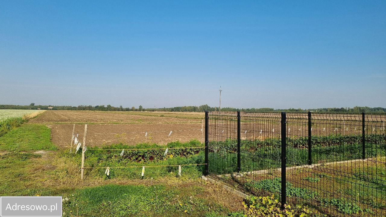 gospodarstwo, 5 pokoi Rokotów. Zdjęcie 9