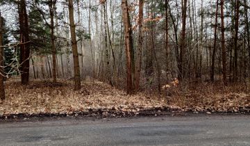 Działka rolno-budowlana Huta Dłutowska Kapkazy, ul. Kapkazy