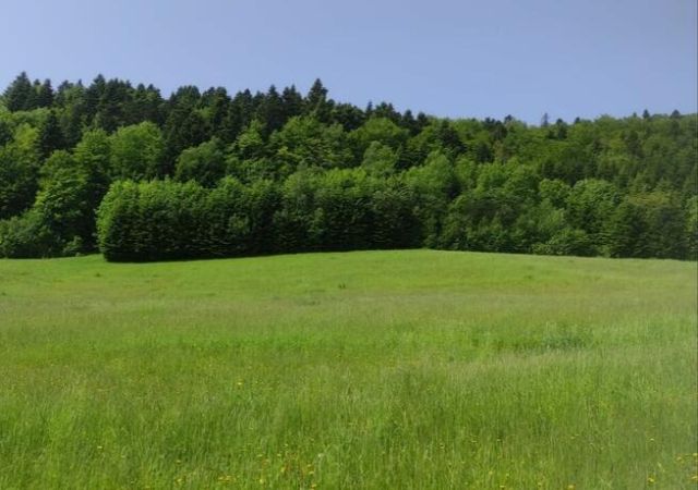 Działka budowlana Zahoczewie. Zdjęcie 1