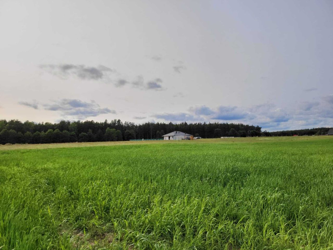 Działka budowlana Nowy Sumin. Zdjęcie 5